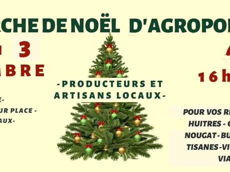 GRAND MARCHE DE NOËL AGROPOLIS