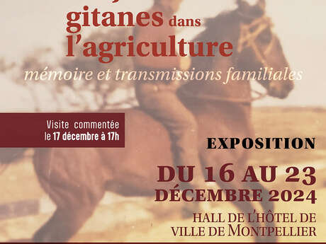 TRAJECTOIRES GITANES DANS L'AGRICULTURE