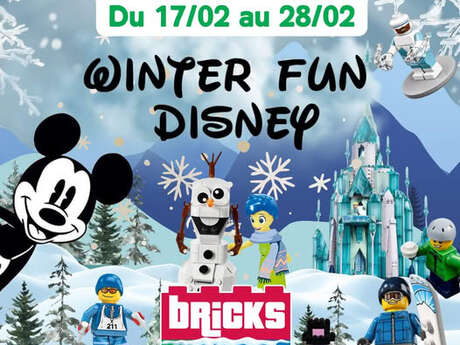 STAGE VACANCES D'HIVER - BRICKS 4 KIDZ MONTPELLIER