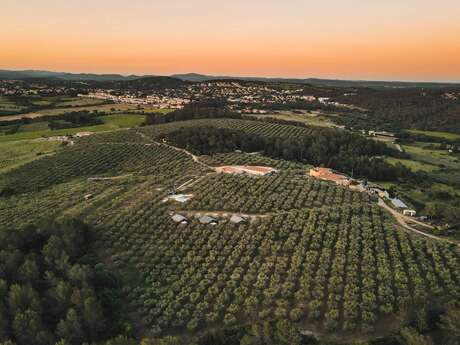 DOMAINE DE L'OULIVIE