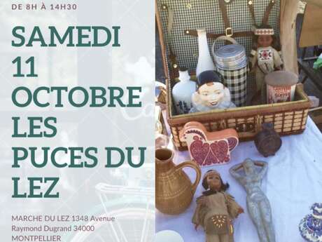 LES PUCES DU LEZ