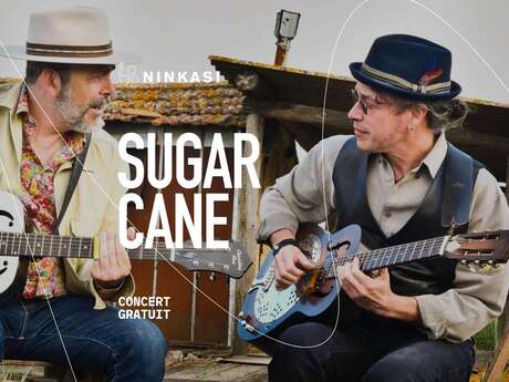 CONCERT SUGAR CANE