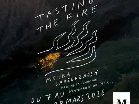 EXPOSITION « TASTING THE FIRE » - MELIKA SADEGHZADEH