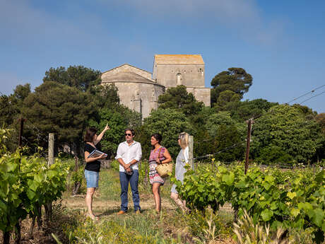 DÉGUSTATION AU CŒUR DES VIGNES