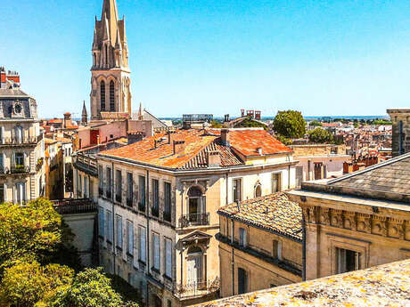 VISITE EN ANGLAIS DE MONTPELLIER : "ROYAL VIEW FROM THE TRIUMPHAL ARCH" VISITE EN ANGLAIS DE MONTPELLIER : "ROYAL VIEW FROM THE TRIUMPHAL ARCH"