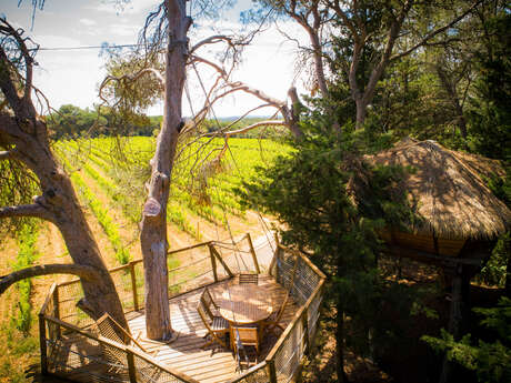 LES CABANES DE L'ARBOUSIER - CABANE ROLLIER