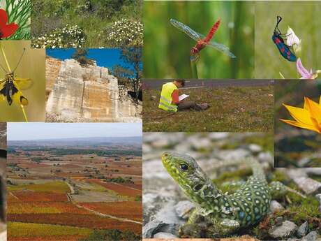 ECOLOGISTES DE L'EUZIERE