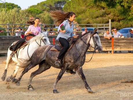 MANADA MAS DE LA COMTESSE