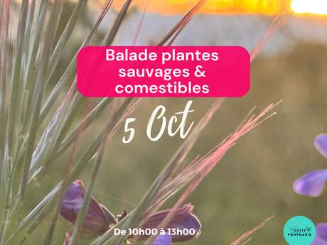 BALADE & ATELIER PLANTES SAUVAGES COMESTIBLES