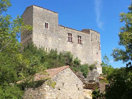 CHATEAU BAS DE BOUSSAGUES