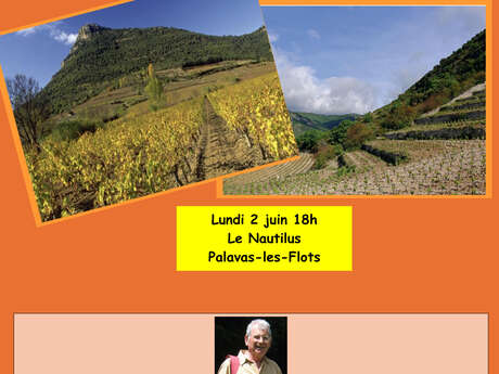 CONFÉRENCE CERM
