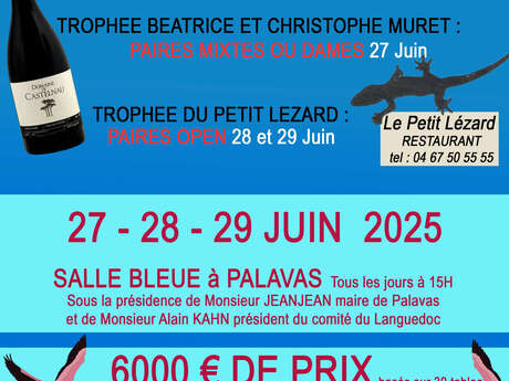 FESTIVAL DE BRIDGE