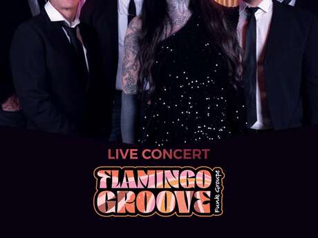 ANIMATION MUSICALE FLAMINGO GROOVE