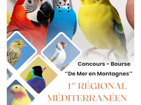 CONCOURS INTERNATIONAL DE L'OISEAU CLUB PALAVAS HÉRAULT