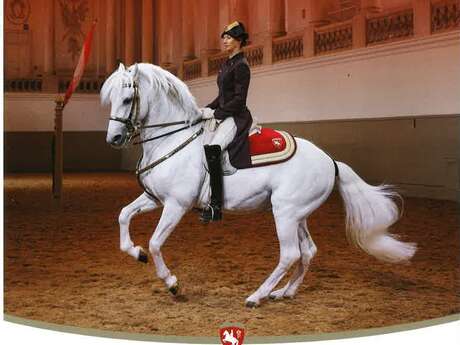 L’ÉCOLE ESPAGNOLE D’ÉQUITATION DE VIENNE