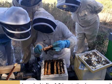 IMMERSION AU PAYS DES ABEILLES