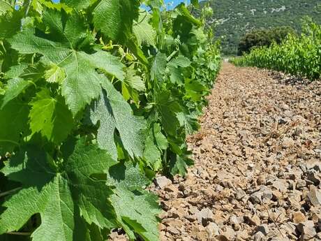 CLOS DES REBOUSSIERS