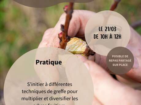 GREFFE D'ARBRES FRUITIERS