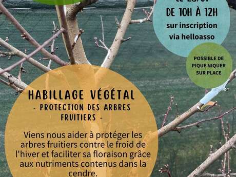 HABILLAGE VÉGÉTAL : PROTECTION DES ARBRES FRUITIERS