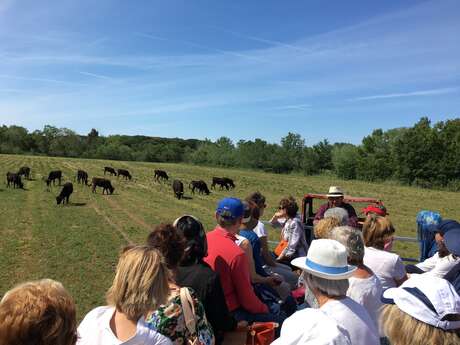 ACTIVITÉS AVRIL - MAS DE LA COMTESSE