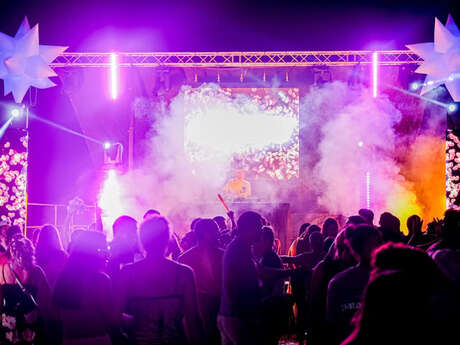 ANIMATION MUSICALE BIG SHOW CRAZY NIGHT