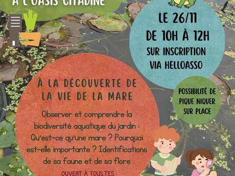 ATELIERS FAMILLES - À LA DÉCOUVERTE DE LA VIE DE LA MARE