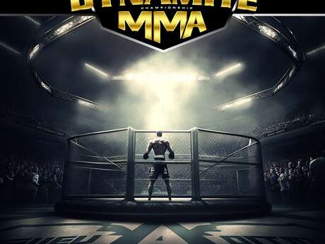 GALA DE MIXED MARTIAL ARTS (MMA)
