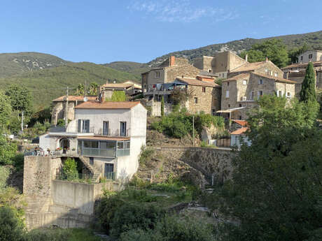 LA TOURTERELLE