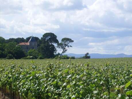 DOMAINE DE MALLEMORT