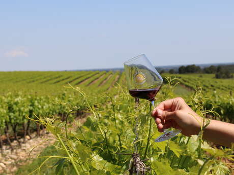 LA CAVE COOPÉRATIVE LES COTEAUX DE MONTPELLIER