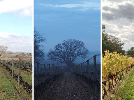 LES CHEMINS DE BASSAC
