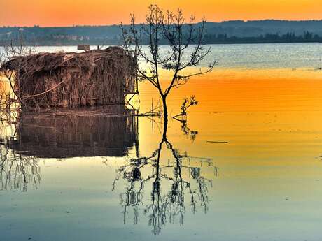 ETANG DE CAPESTANG