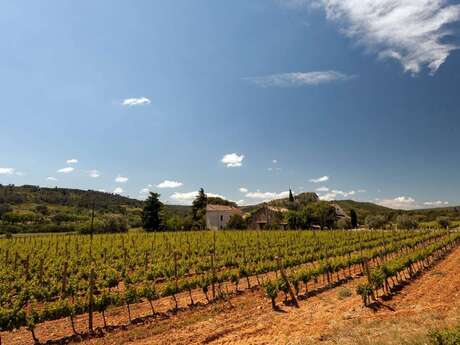CLOS BAGATELLE - DOMAINE DES 4 VENTS