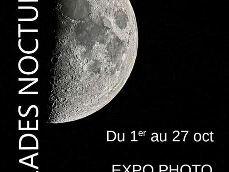 EXPOSITION NOCTURNE