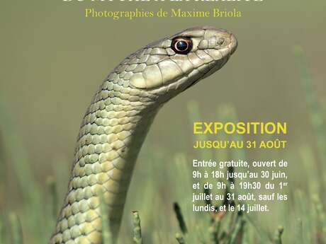 EXPOSITION PHOTOGRAPHIQUE - MAISON DE LA NATURE