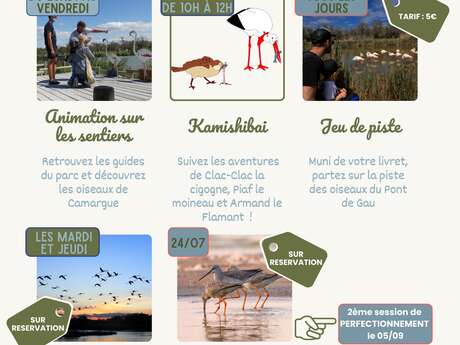 LES VACANCES D'ÉTÉ AU PARC ORNITHOLOGIQUE DE PONT DE GAU