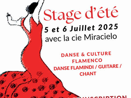 VERANO FLAMENCO
