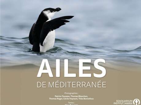 EXPOSITION "AILES DE MÉDITERRANÉE"