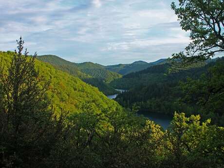 AIRE NATURELLE DE CAMPING DE LASCOURS