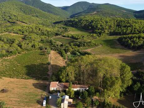 DOMAINE LES ASPHODELES