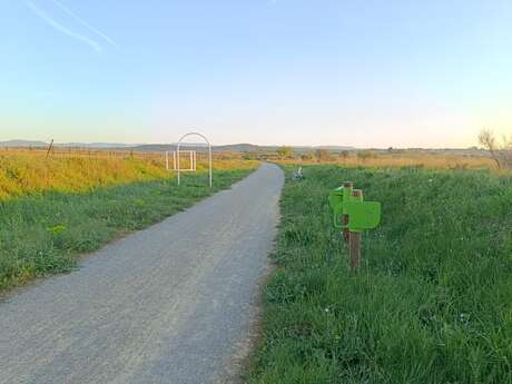 ARCEAUX À VÉLOS
