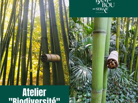 ATELIER BIODIVERSITÉ