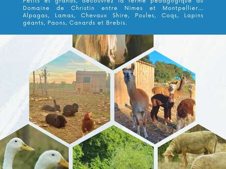 TALLER CUIDADOR DE UN DIA DEL DOMAINE DE CHRISTIN