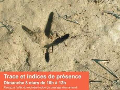 ATELIER PARENTS ENFANTS - TRACES ET INDICES DE PRÉSENCE