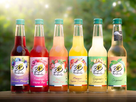 BB KOMBUCHA