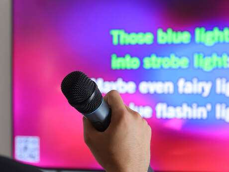 TREFLE ROUGE KARAOKE BOX