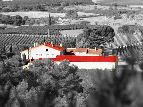 CHATEAU FONSALADE