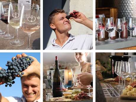 GRAPPES ET DÉGUSTATION : L'ATELIER VENDANGES