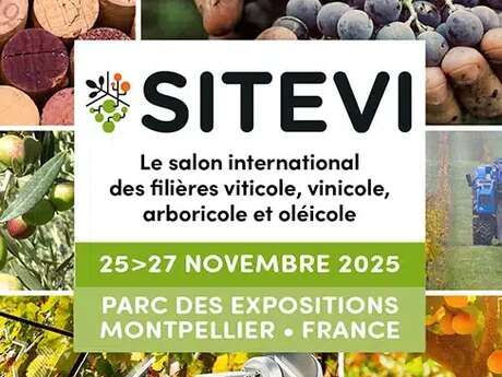 SITEVI 2025