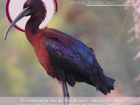 LES VACANCES DE PRINTEMPS AU PARC ORNITHOLOGIQUE DE PONT DE GAU